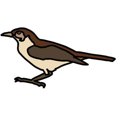 a nightingale facing the left